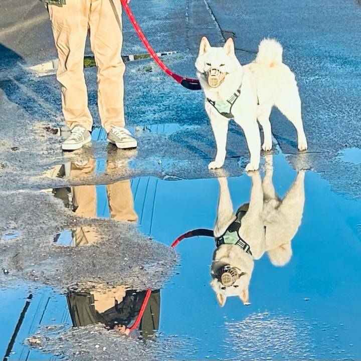 C2567f27 3cba 4733 9724 373c687b8b3f 1695940196031