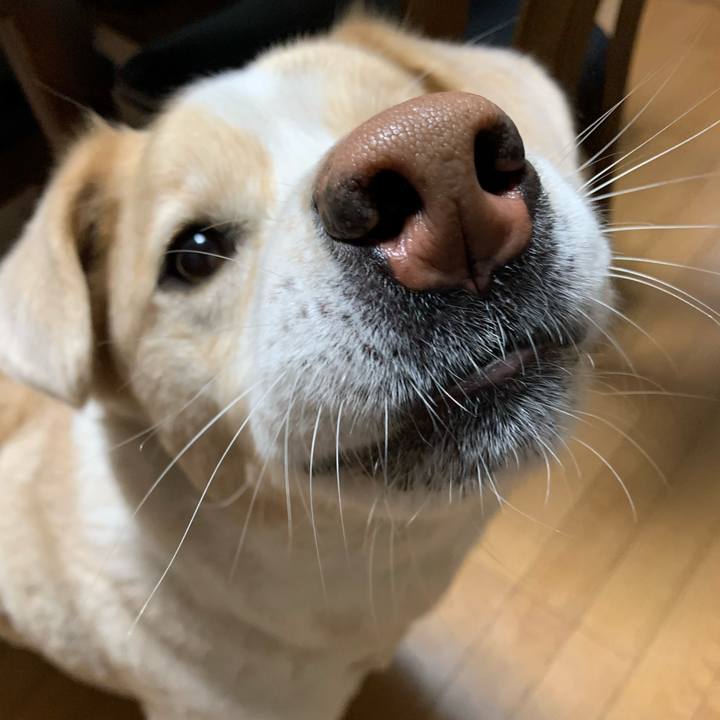 C2568c3e 692b 497b 97bf 3a4f020bd364 1580827037609