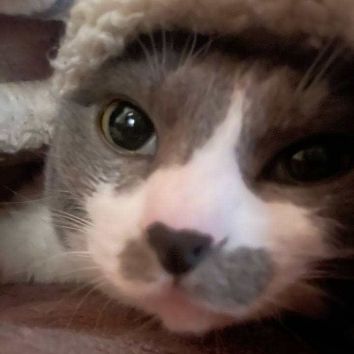 C2569152 5492 4d8a 8f6f e144db4bb36f 1735944580325