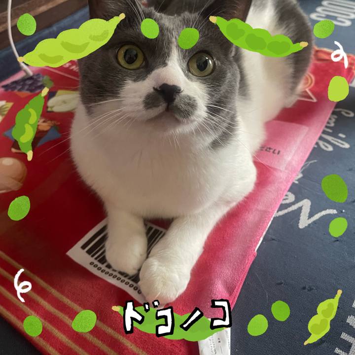 C256966f 1766 41f1 b0cd 1df29a2f7514 1721128160470