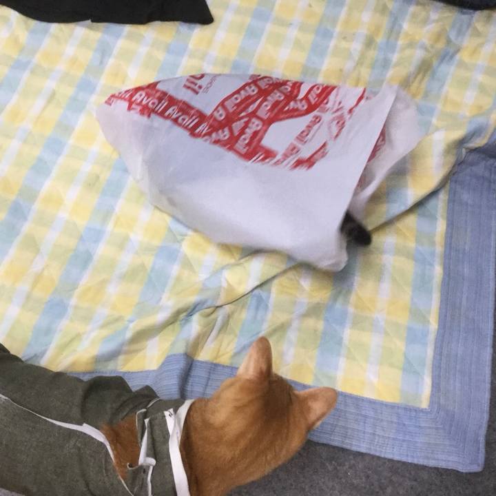 C256aae5 ccfe 4063 bd80 a5d08aeb9571 1531060365894