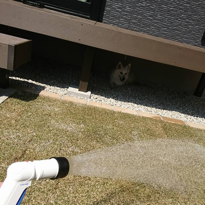 C256b5a0 f322 4a1b 9f11 567c2e341368 1522208447520