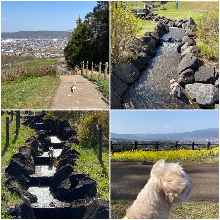 C256ff4a 2a58 4deb b6c7 fac6d1f161b7 1584782920633