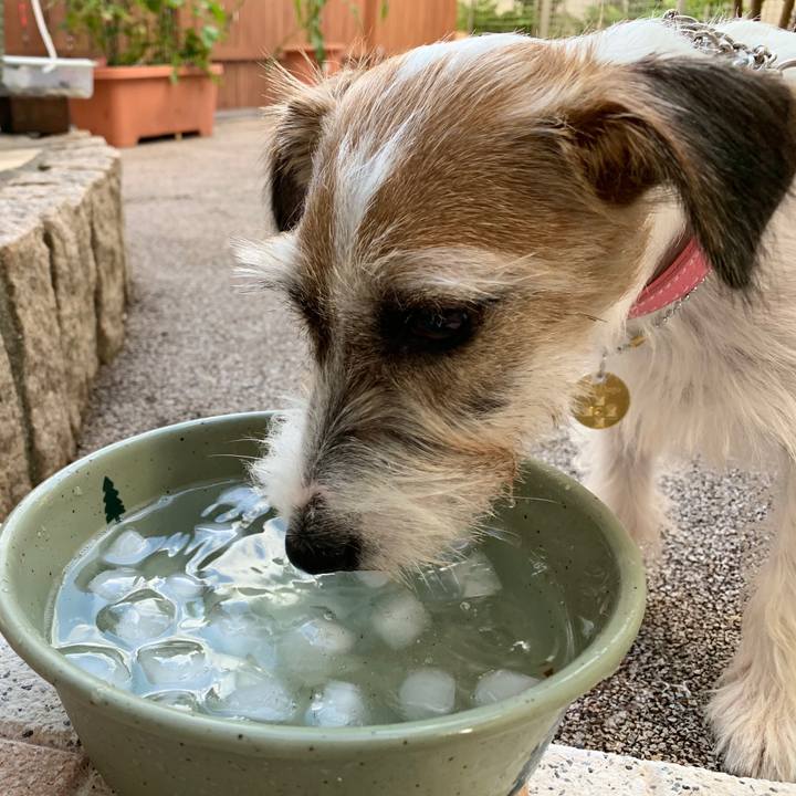 C2570196 24d4 4fd9 a13f f593af3b062c 1594553038222