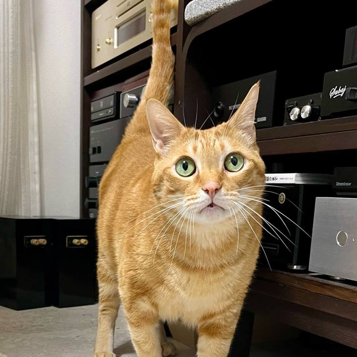 C257142d 30ab 4744 8b7b 592f149420f8 1738970197725