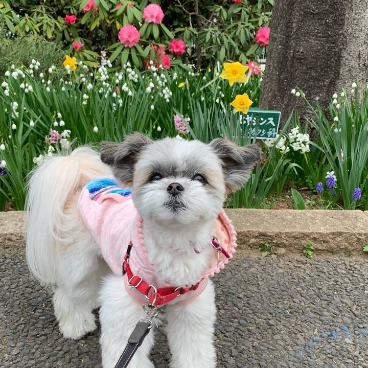 C25744a5 286f 4e35 a2ec 635db95e9f75 1616117143447