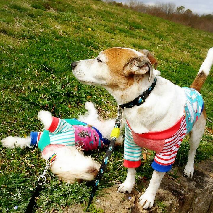 C257864d 6d9b 468c 9aea f9ceef082803 1521377184944