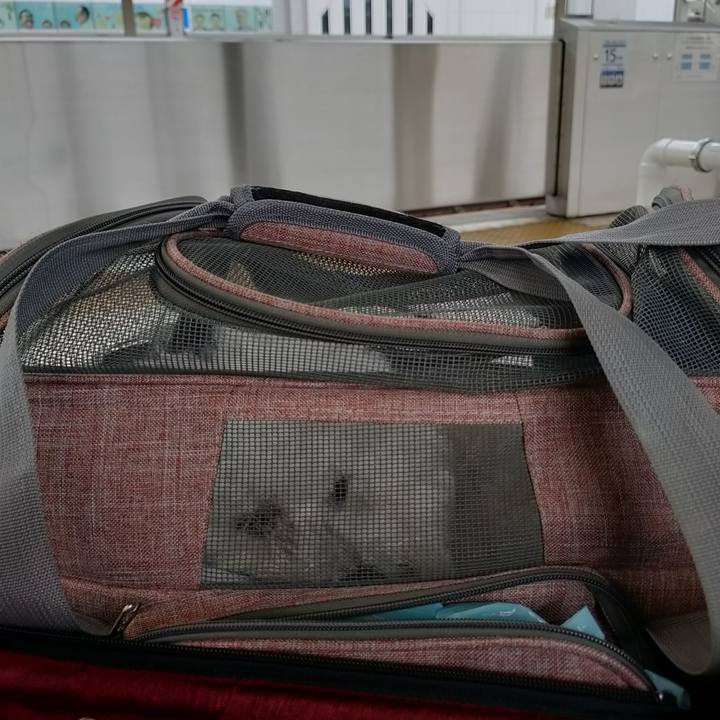 C2579168 3cd9 42c0 8575 7975711ecc8a 1765842313153