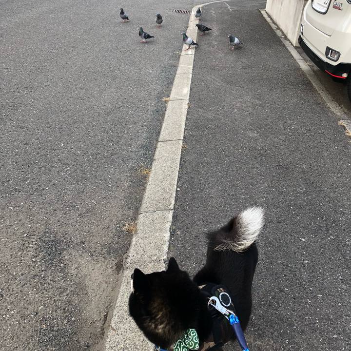 C257927f c888 4010 ae2f cdfdec604a44 1535407291860