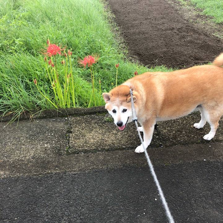 C257d935 069a 49ee 8e6c 158f4b0a8c05 1600426230155