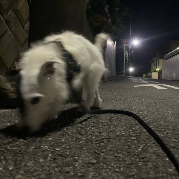 C257f9b1 ae94 405e aa49 338d2f52770d 1656246927360