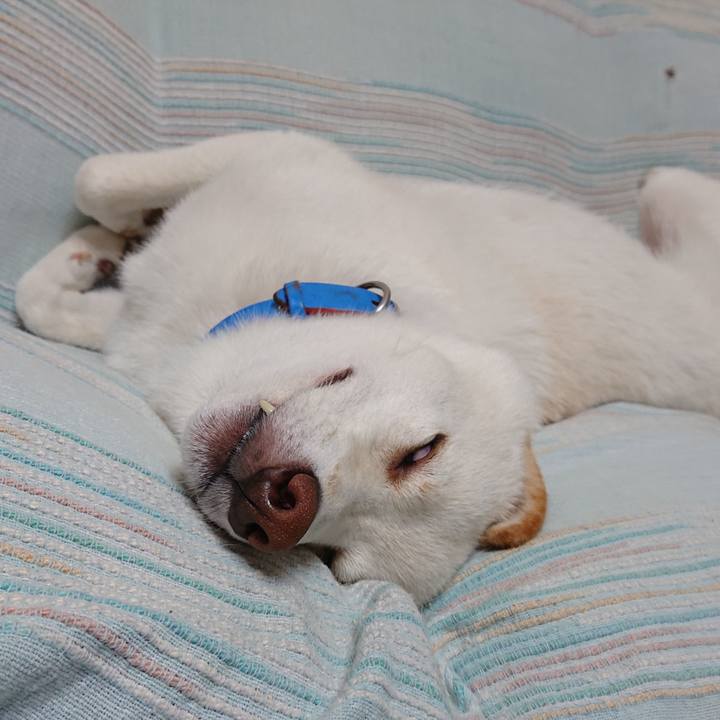 C2582c9d 2e65 4031 a78f 97a649e0513e 1563199173584