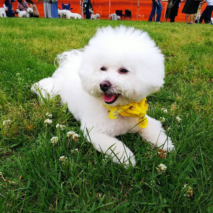 C2585dad 6650 4a38 8a98 cd4eb504f317 1559476588487