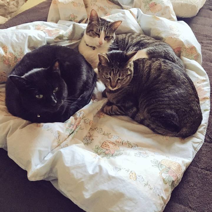 C2587ff5 bdad 48e5 a8ea f0497b142579 1519116870935