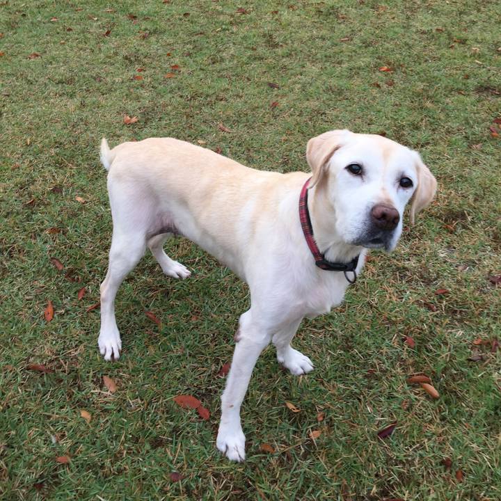 C258b0a1 672c 4248 bf1e 4fb66adf2461 1508987918214