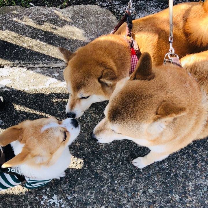 C258eeb2 cf3a 4225 97fa f6f075b5c8d0 1572831674216