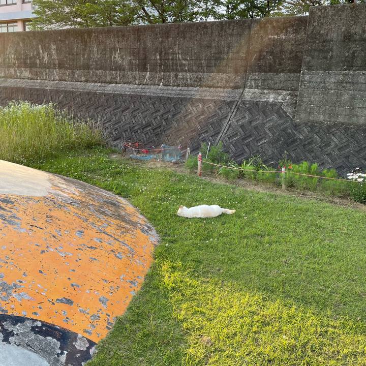 C258f167 6bed 4062 997b fea9c9996f9f 1654613840625