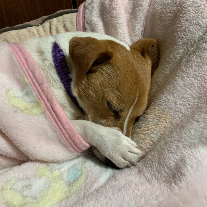 C2590c6f 8f03 44ec 80ef 711494a87983 1587812985561