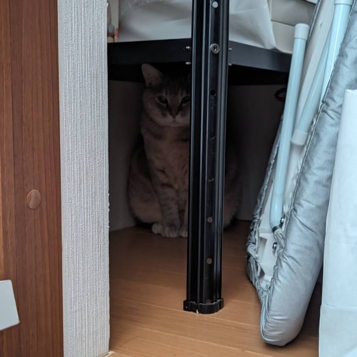 C25923ba d511 4776 a8c4 c8e4ac6c4d68 1708663629240