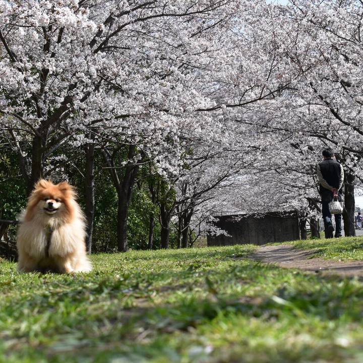 C2593184 060e 4ac4 9207 42e17a5aa37a 1616994754114