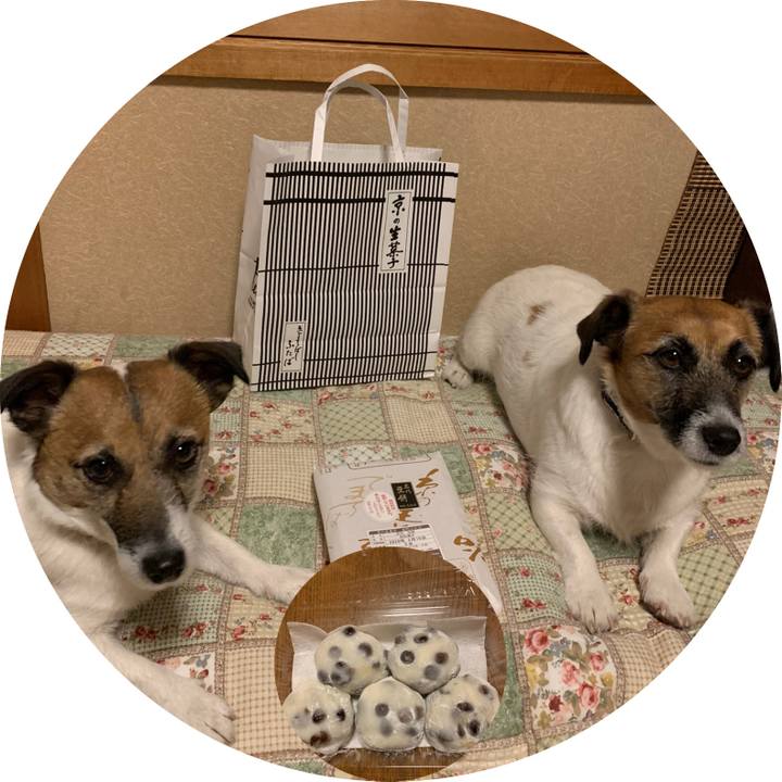 C2593275 10e2 44db 83ea addd4e629c7f 1581756987178