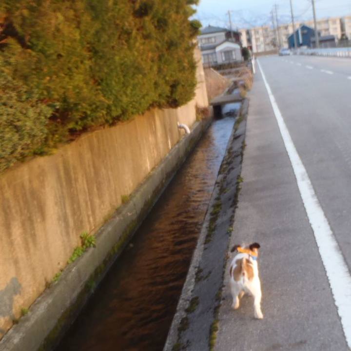 C25950ef 0d81 4ebb 992d 2f1efdfbd3b1 1522410768252