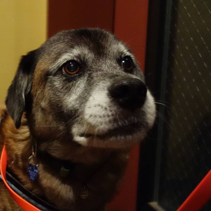 C2598fd5 6ab6 4324 a79b df1dca81ac54 1540723127697