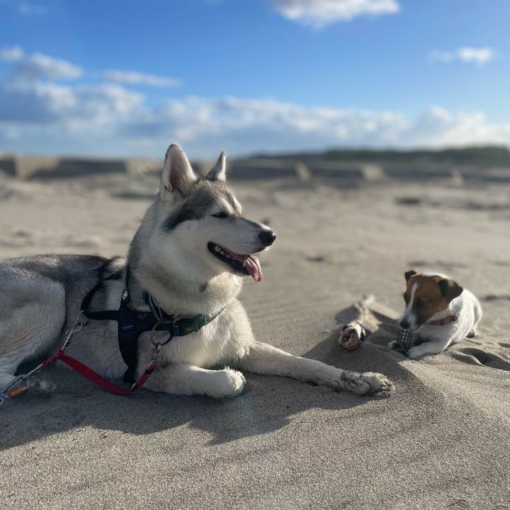 C259aa28 4859 4191 8f00 9b106a6b0830 1760053733203