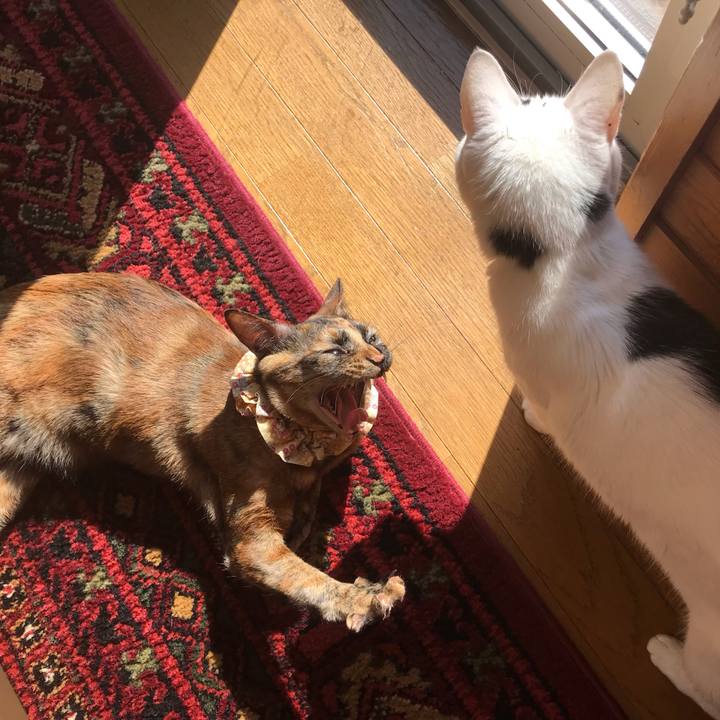 C259e812 a296 40cc 982b baed3ccd16f9 1651186521505