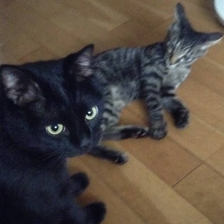 C259f8f1 fae3 4b18 9b67 5e8e5a20126b 1531297599260