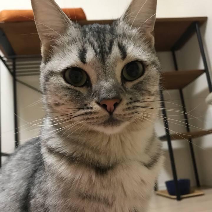 C25a2a90 8237 4e8c a68d 48ad0f194262 1509017521522