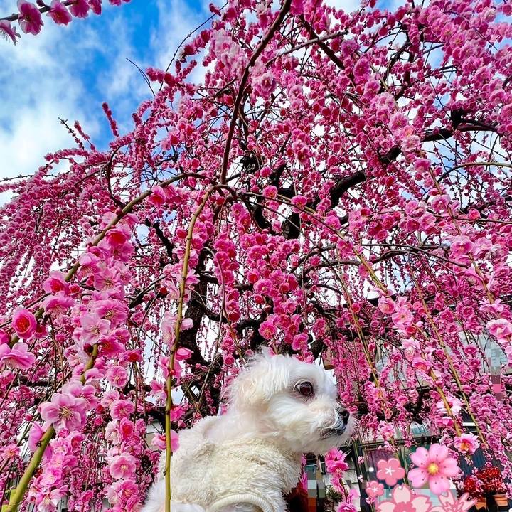 C25a524e 33c7 4f59 ab1a 33dfd28cd626 1677313025598