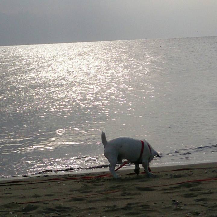 C25a6060 fcec 41f8 a2e9 243cbb600866 1508457844741