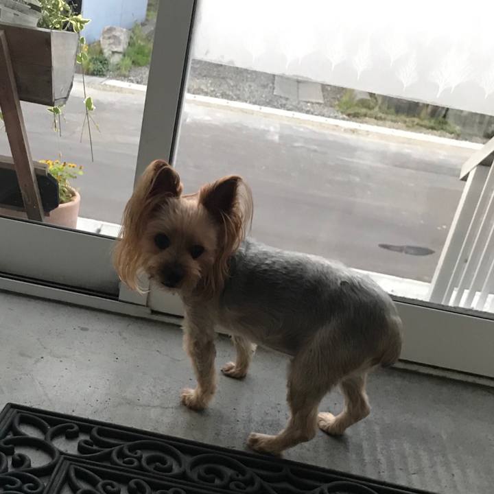 C25a7741 eb91 4b64 a697 4426fc9ca789 1565085380744