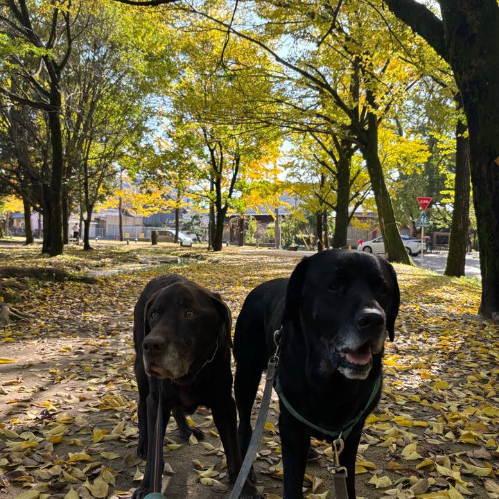 C25a7fdc 8a8b 492e 952c 21452dc91e3f 1762866380339