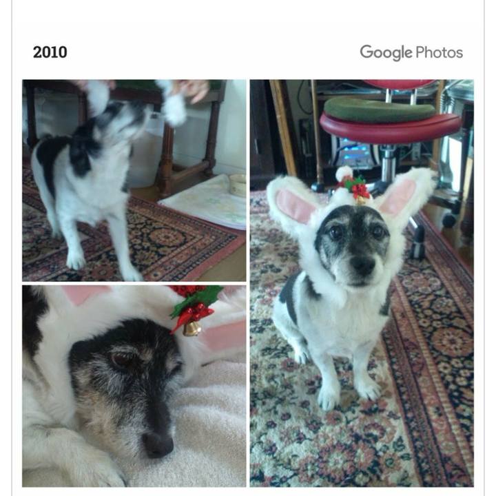 C25aadf8 4ebd 4682 92e2 c11097ff924e 1577324620377