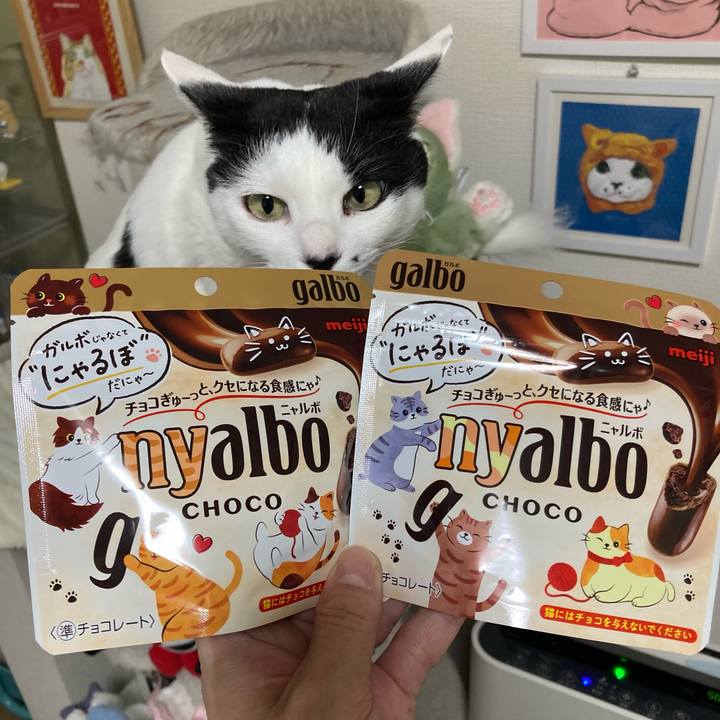 C25ad212 715a 4029 afd8 50d1b4fe203b 1771919436362