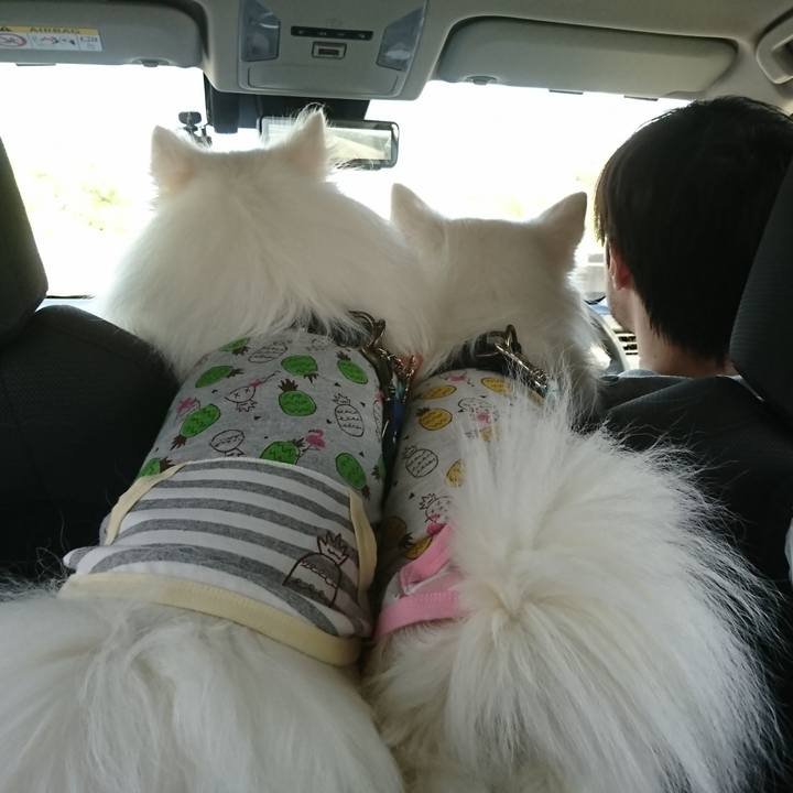 C25b1786 c470 4a50 a67e 0e3fcfd25d63 1619766518465