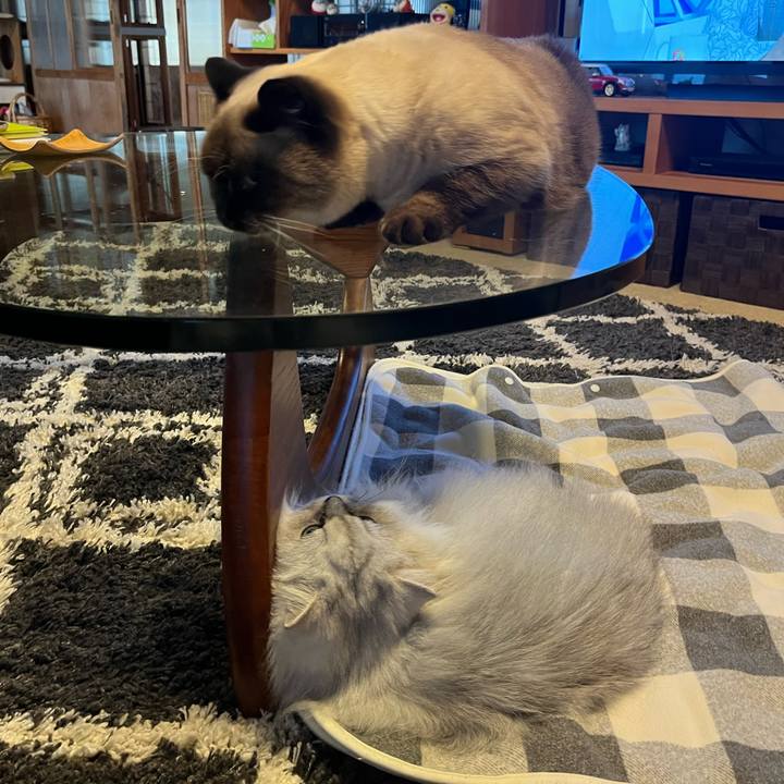 C25b1da6 9ce0 44b0 9fde 57978021d4fe 1636599383168