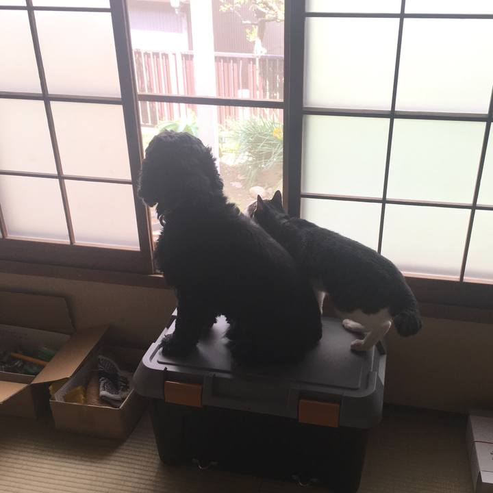 C25b215b 9299 4104 b522 9888c70333ea 1523501816199