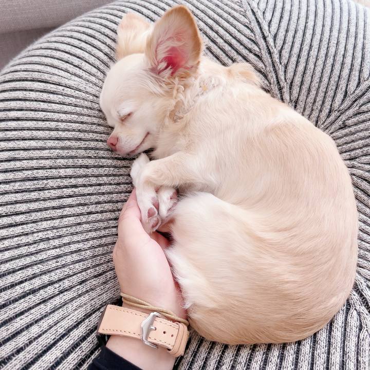 C25b82e7 0eff 4bbd b757 3969b4a70fc2 1697265142953