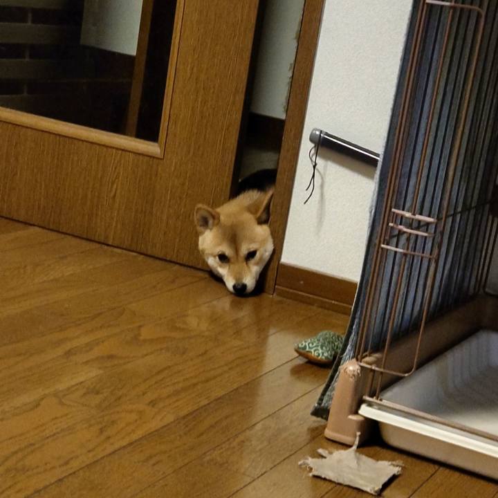 C25bbfef 3405 4d2f 8cc6 29fd042a59fb 1647683723610