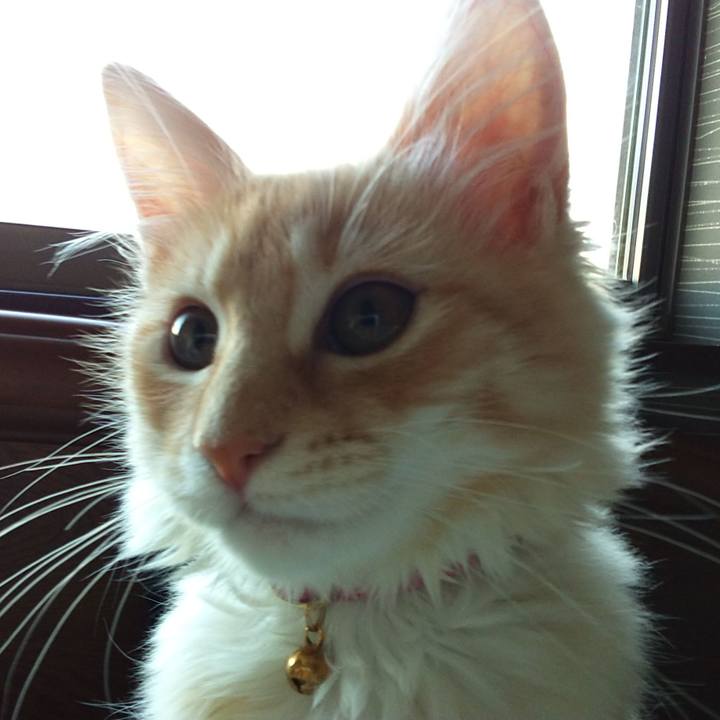 C25be775 ba83 450c 9b50 9c2bd88126e8 1607648125886