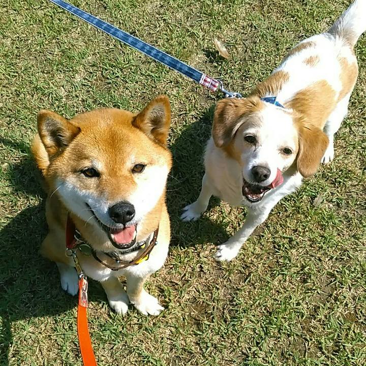 C25c14fb 22e3 40eb befd 8c1dd4a98e0d 1558658288632