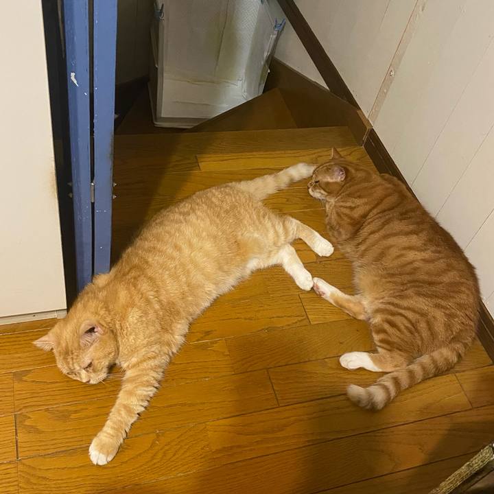 C25c211b da9f 454d 8039 68d2a88820f6 1659010964155