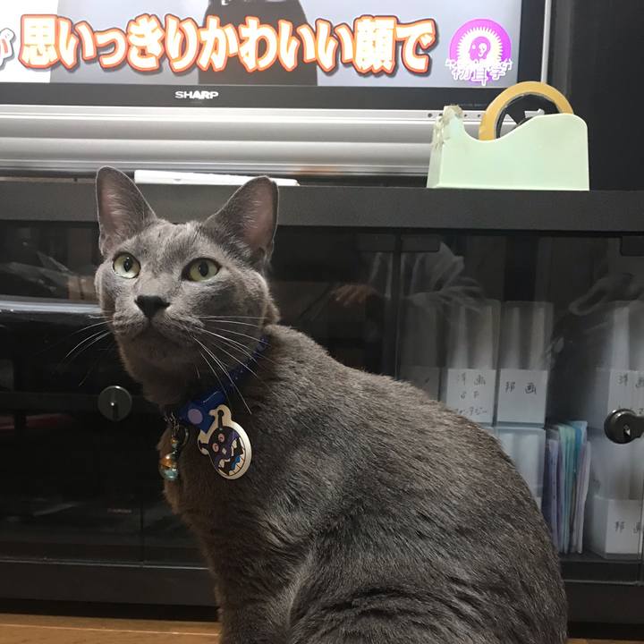 C25c25c6 ef4b 4007 87f5 0b7a9ad9f7de 1545575102790