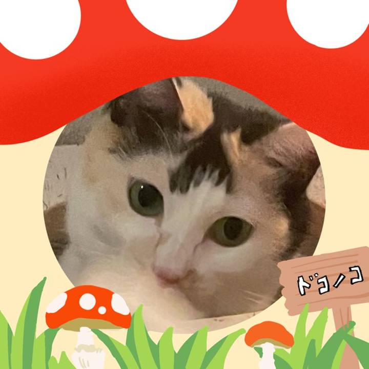 C25c3424 bb4f 458d bc2a 79e8b1661403 1729057475179