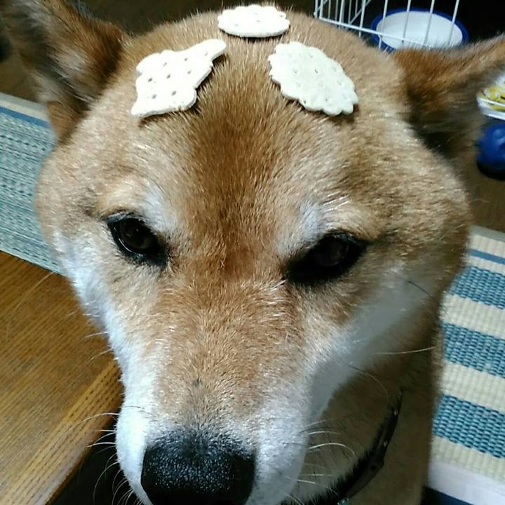 C25c4d5e 2ce9 4d84 af3d 545016b0915c 1563881550078