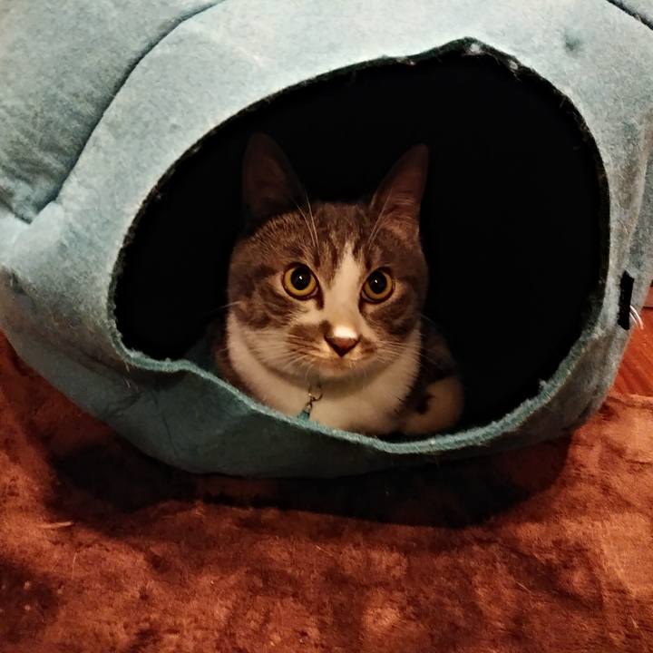 C25c5571 d0df 469d bacc 4d0645ca1777 1577636964959