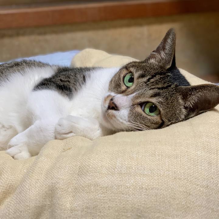 C25c650c 75fa 4843 9991 d6cc412db0e3 1540861317895